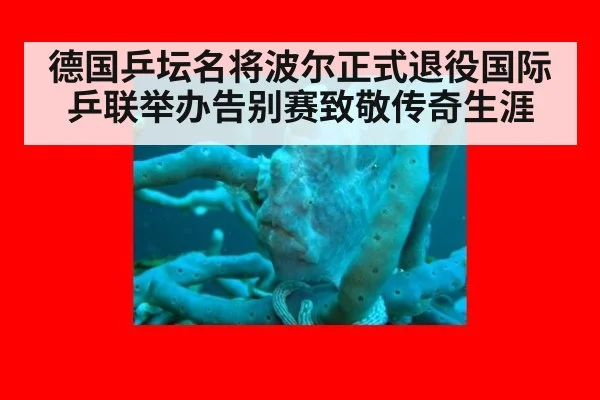 德国乒坛名将波尔正式退役国际乒联举办告别赛致敬传奇生涯